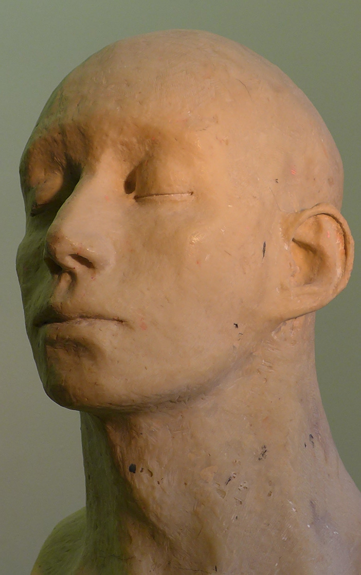 a study of a head
